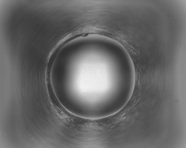 X0000073930244200608111207