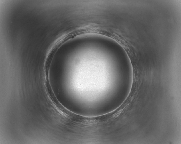 X0000073930245200608111207