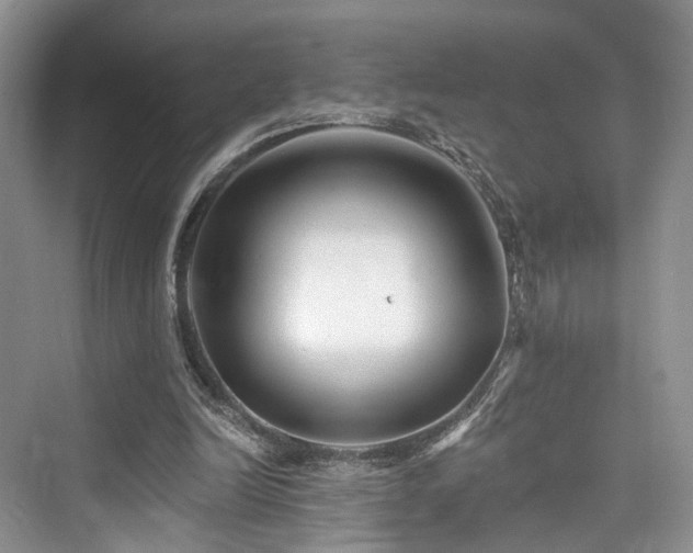 X0000073930246200608111207