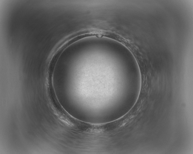 X0000073930247200608111207