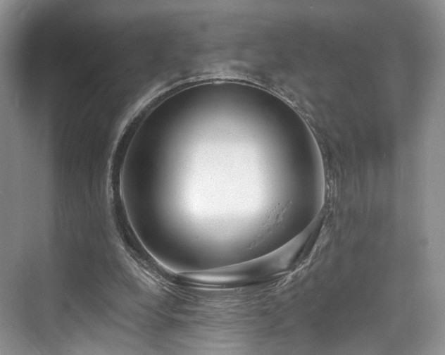 X0000073930248200608111208