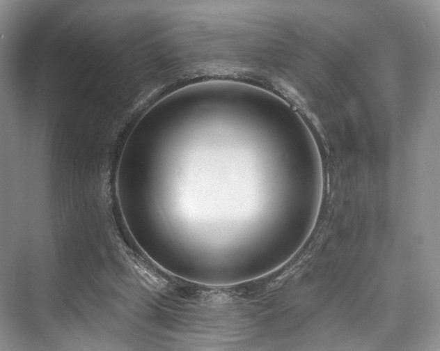 X0000073930249200608111208