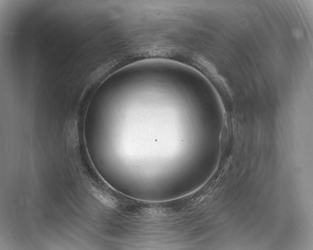 X0000073930250200608111208