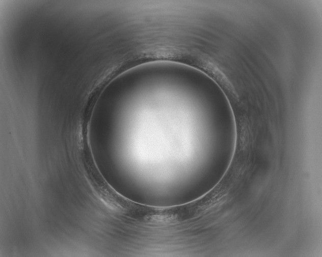 X0000073930251200608111208