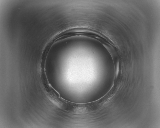 X0000073930252200608111208