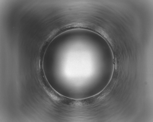 X0000073930253200608111208