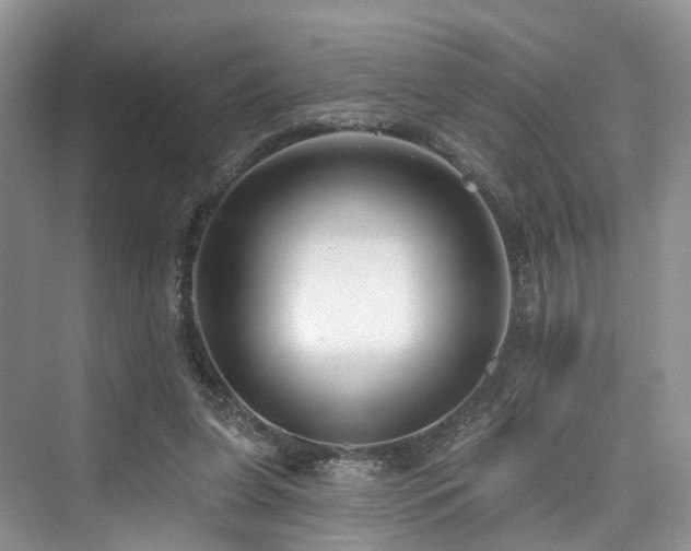 X0000073930255200608111208