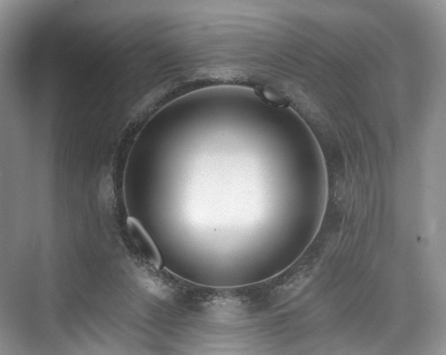 X0000073930256200608111208