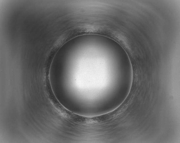 X0000073930257200608111208