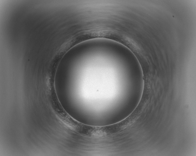 X0000073930258200608111208