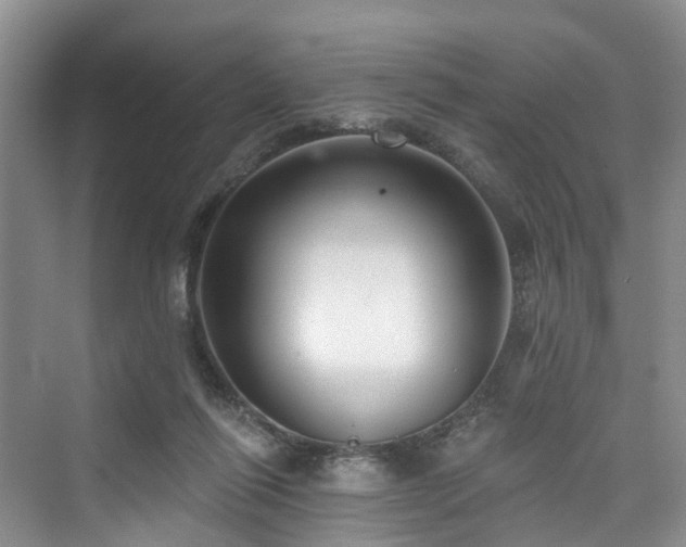 X0000073930262200608111208