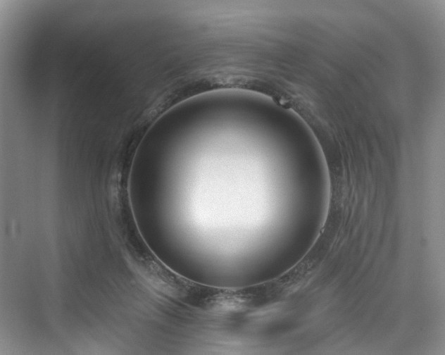 X0000073930263200608111208