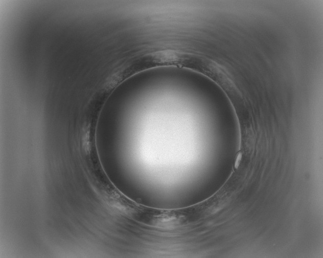 X0000073930267200608111208