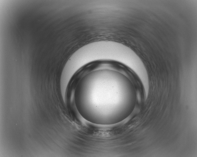 X0000073930276200608111208