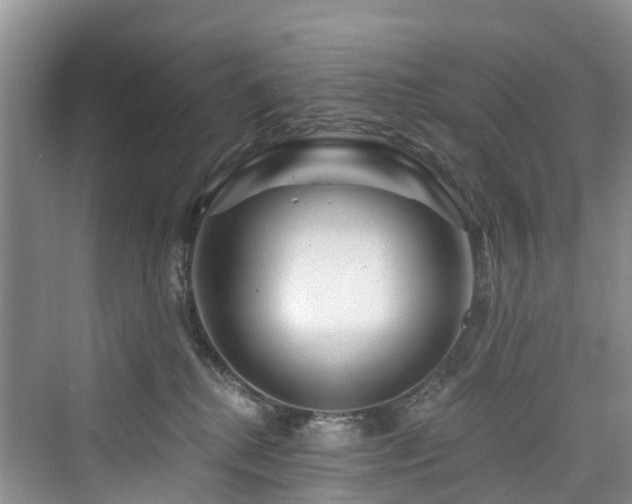 X0000073930280200608111208