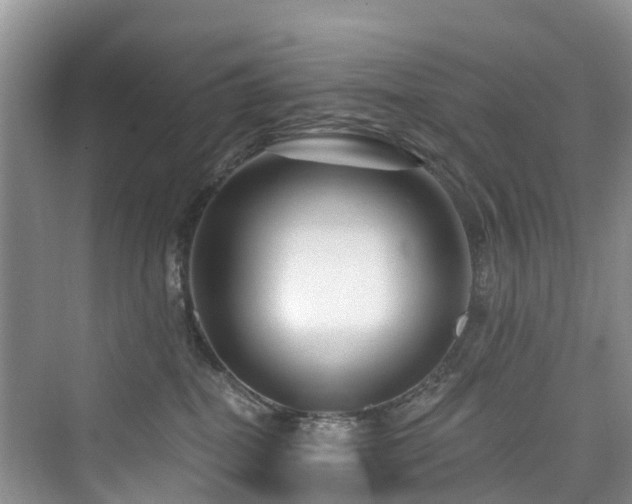 X0000073930282200608111208