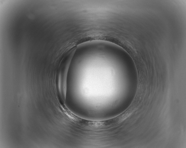 X0000073930288200608111208