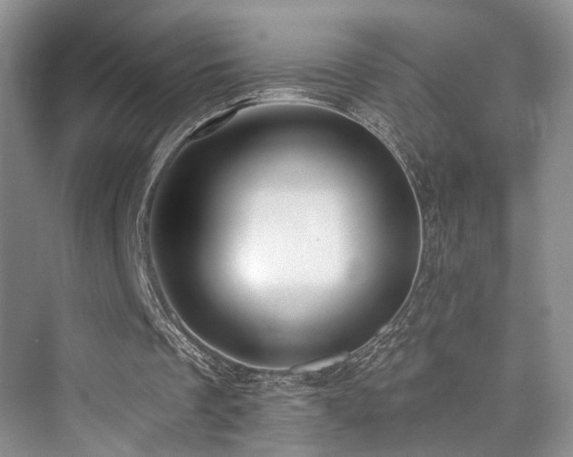 X0000073930289200608111207