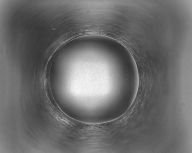 X0000073930290200608111207