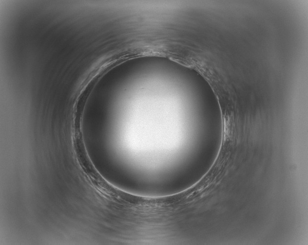 X0000073930291200608111207