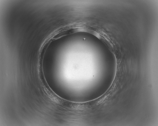 X0000073930293200608111207