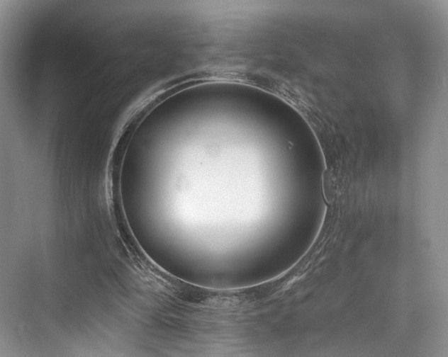 X0000073930294200608111207