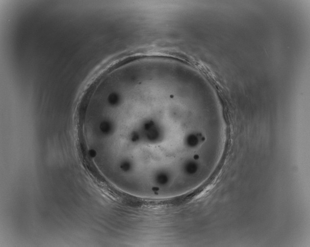 X0000073930295200608111207