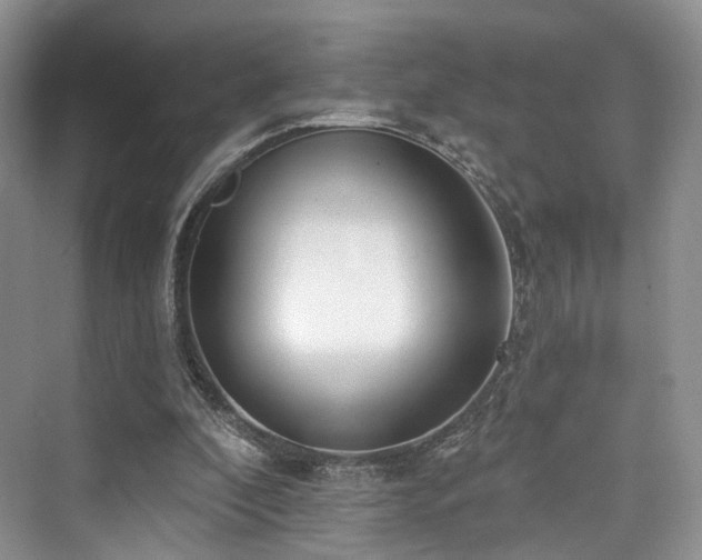 X0000073930296200608111207