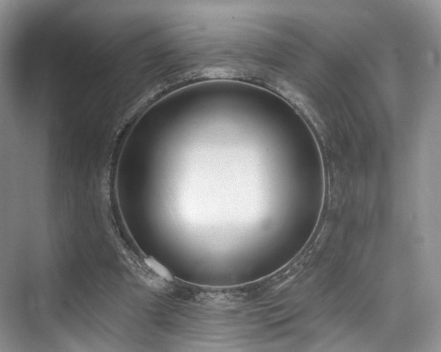 X0000073930297200608111207