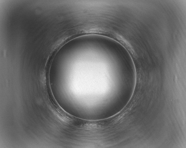 X0000073930298200608111207