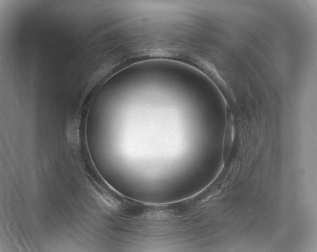 X0000073930299200608111207