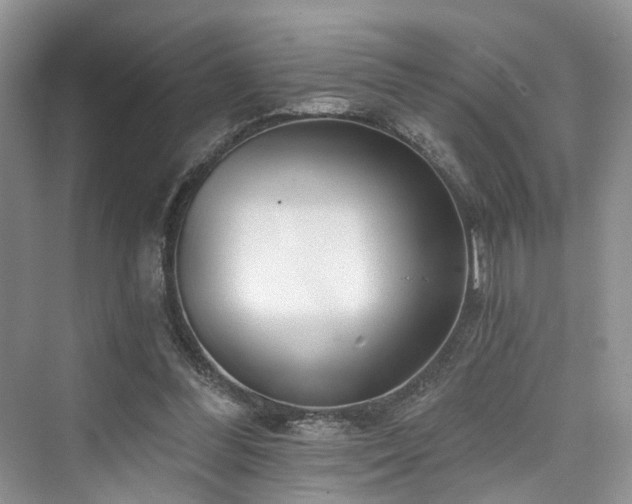 X0000073930300200608111207