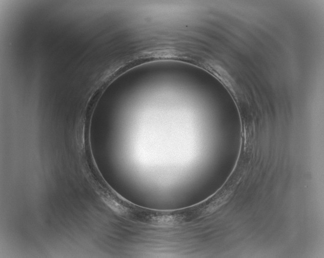 X0000073930301200608111207