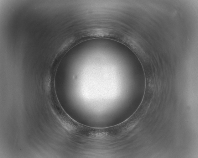 X0000073930304200608111207