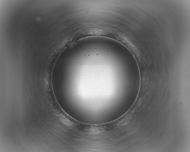 X0000073930305200608111207