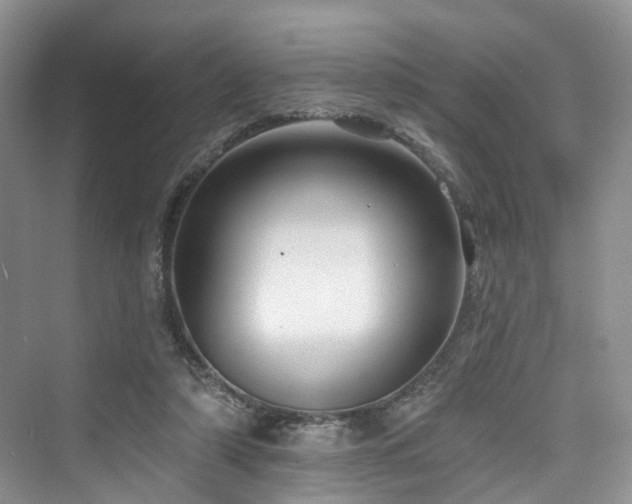 X0000073930306200608111207