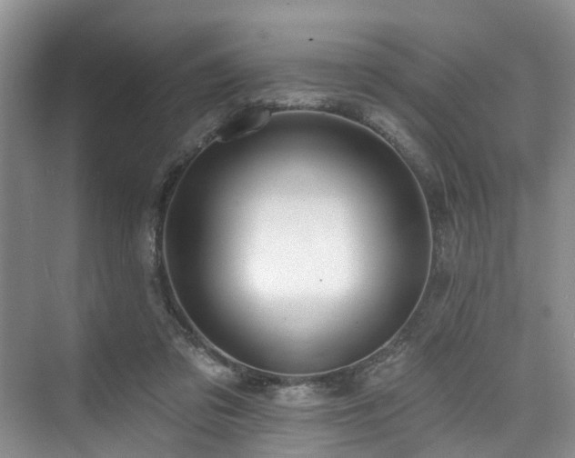 X0000073930309200608111207