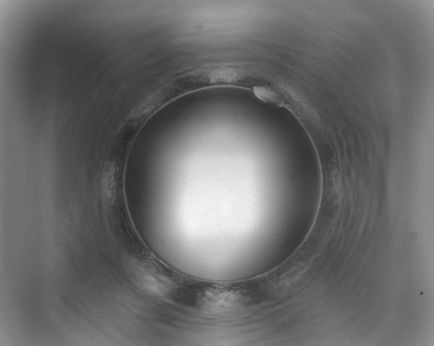 X0000073930311200608111207