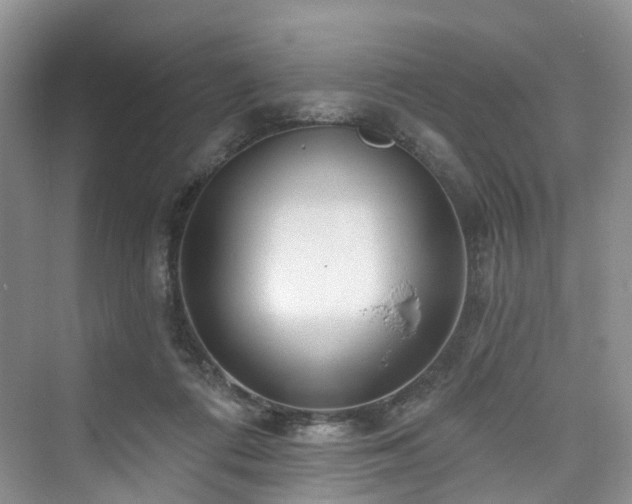 X0000073930312200608111207