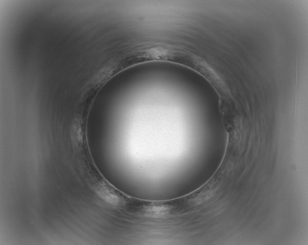 X0000073930313200608111207