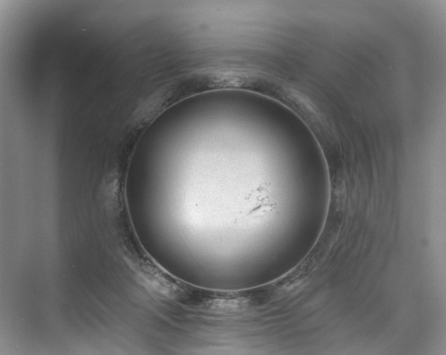 X0000073930314200608111207