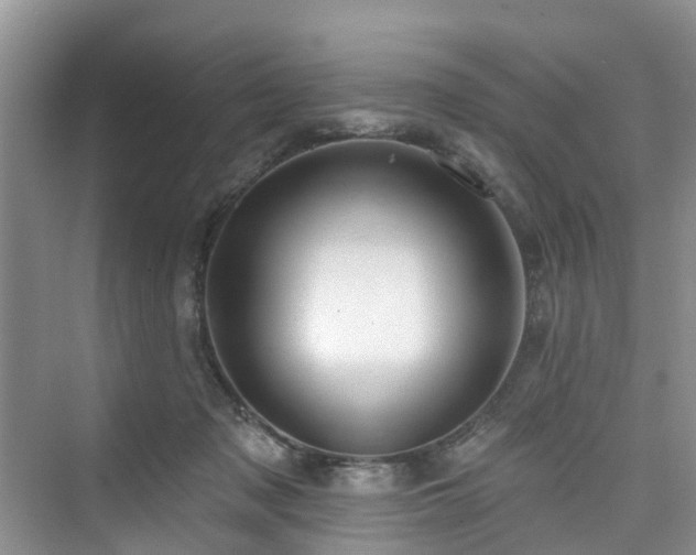 X0000073930317200608111207