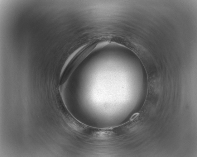 X0000073930323200608111207