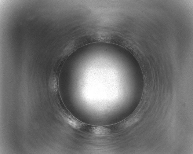 X0000073930336200608111207