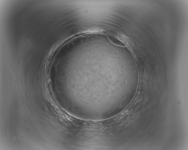 X0000073930337200608111206