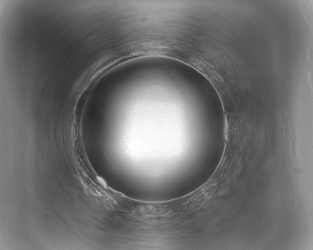 X0000073930338200608111206