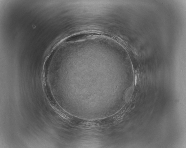 X0000073930339200608111206