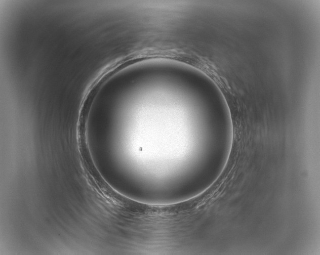 X0000073930340200608111206