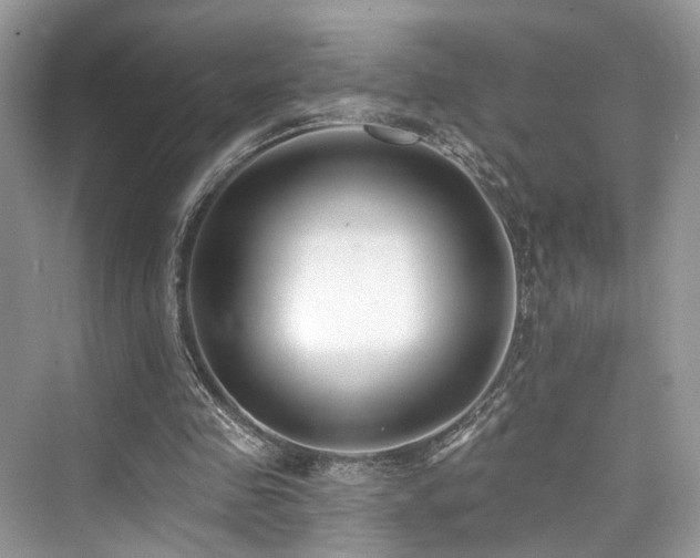 X0000073930341200608111206