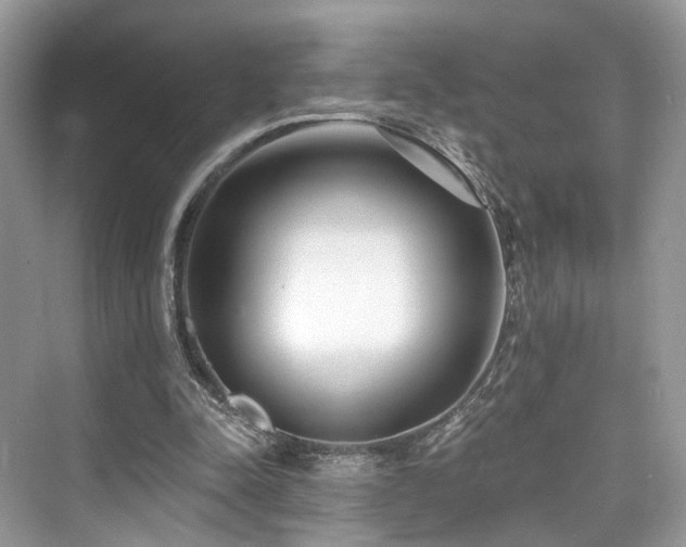 X0000073930342200608111206